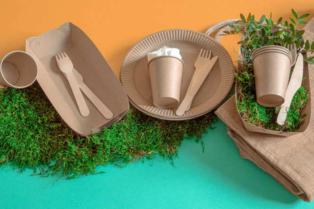 Assiettes en papier, gobelets en papier, fourchettes biodégradables