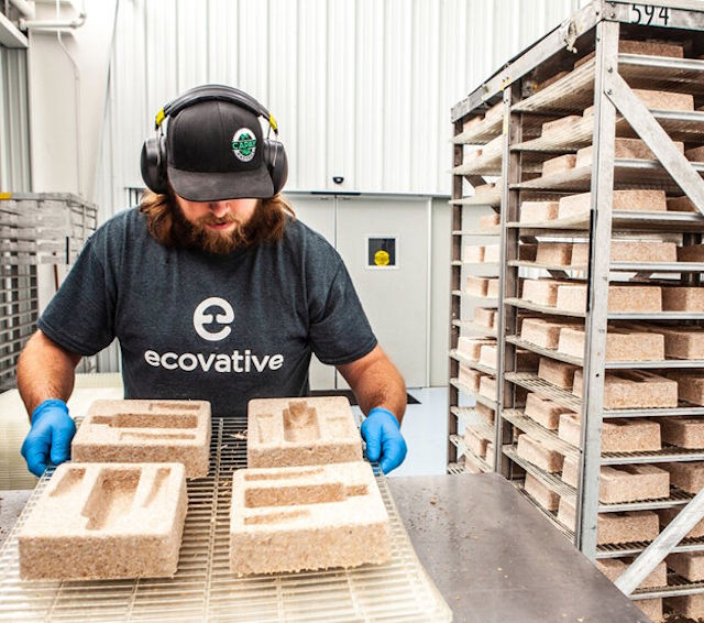 Productie van myceliumverpakking