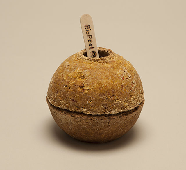 Edible container for fruits