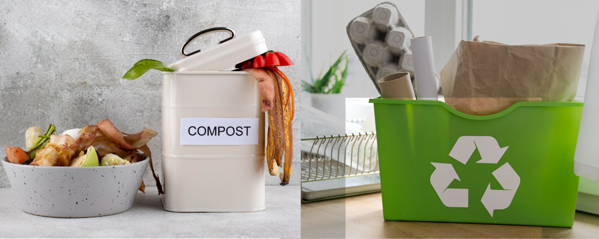 Compostable and recyclable packaging solutions