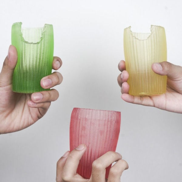 Edible eco-friendly biodegradable packaging solutions (preview)