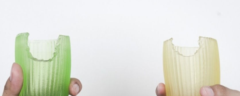Edible eco-friendly biodegradable packaging solutions