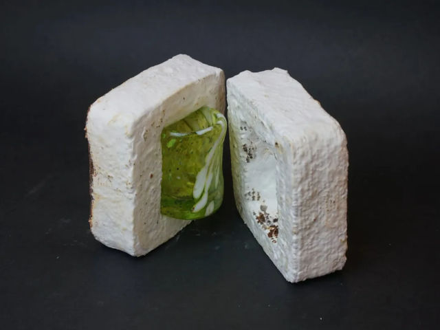 Mycellium packaging