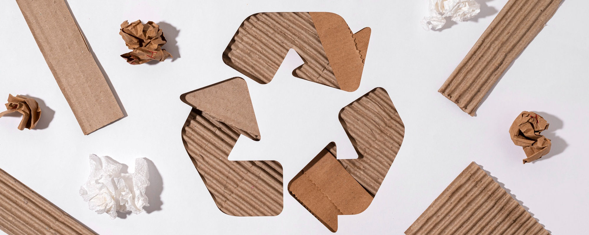 Développement durable d'une production respectueuse de l'environnement